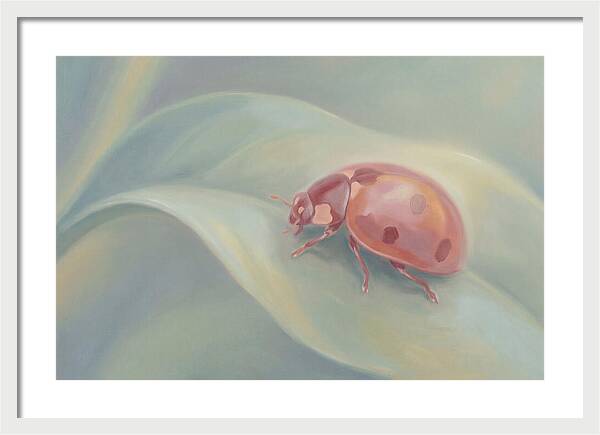 Ladybug On A Leaf