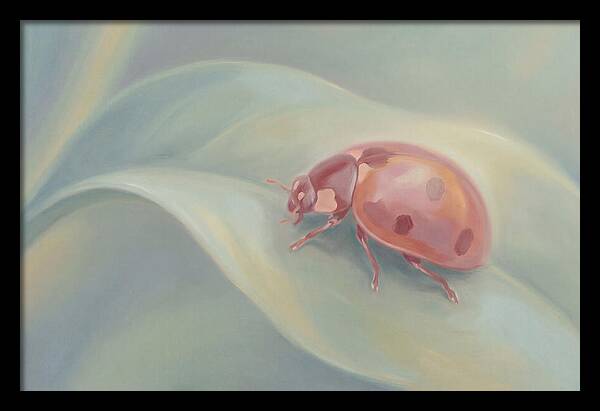 Ladybug On A Leaf