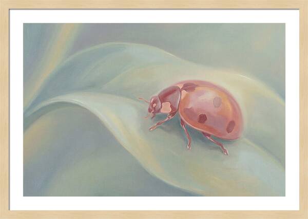 Ladybug On A Leaf