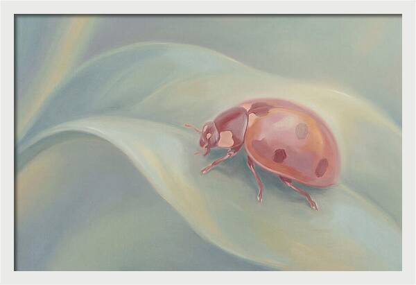 Ladybug On A Leaf