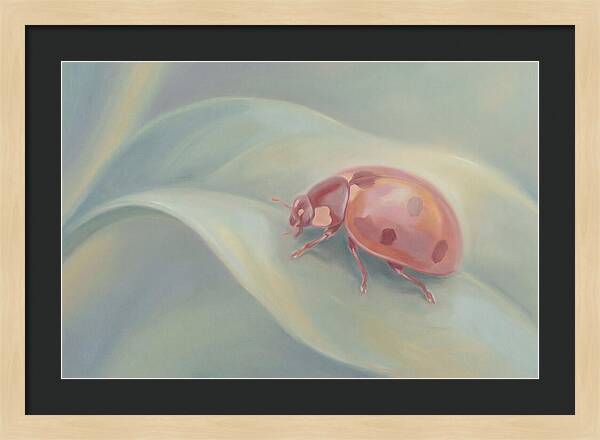 Ladybug On A Leaf