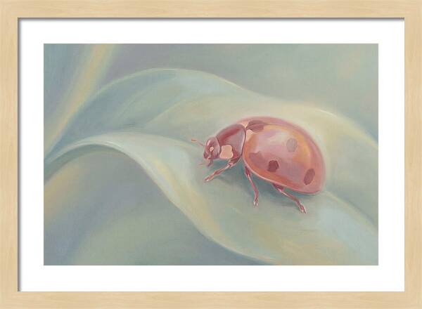 Ladybug On A Leaf