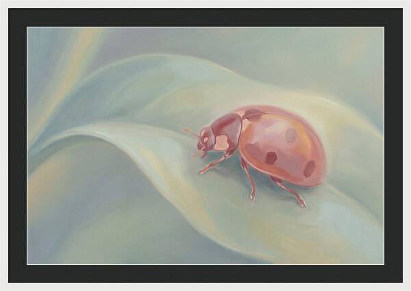 Ladybug On A Leaf