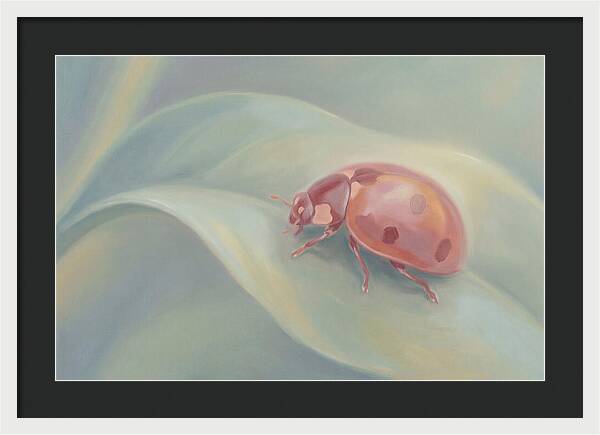 Ladybug On A Leaf
