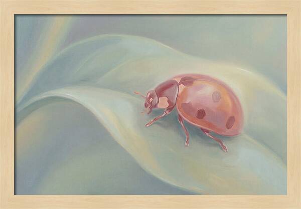Ladybug On A Leaf