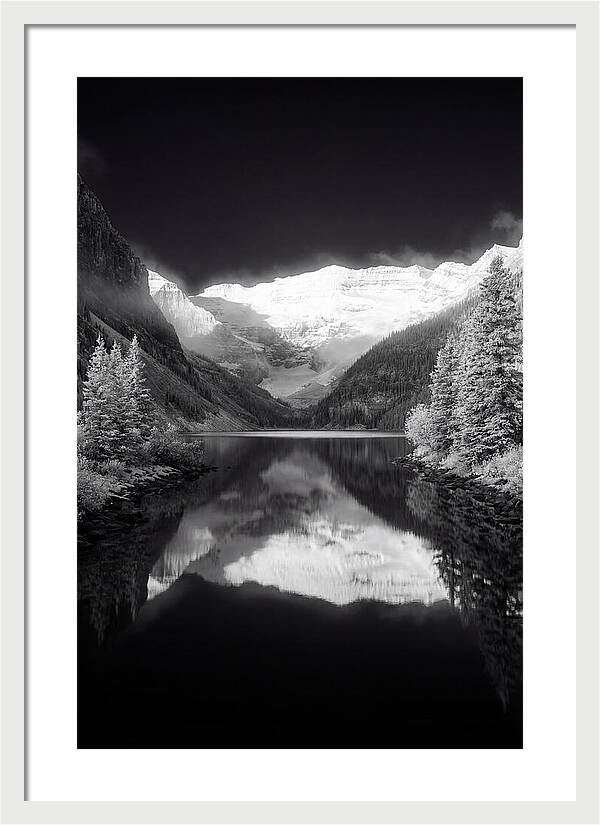 Lake Louise At Dawn