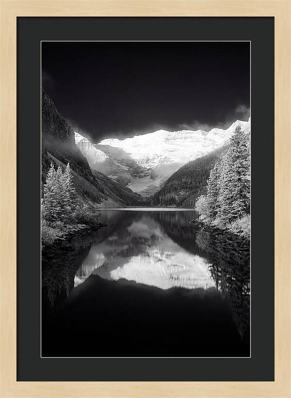 Lake Louise At Dawn