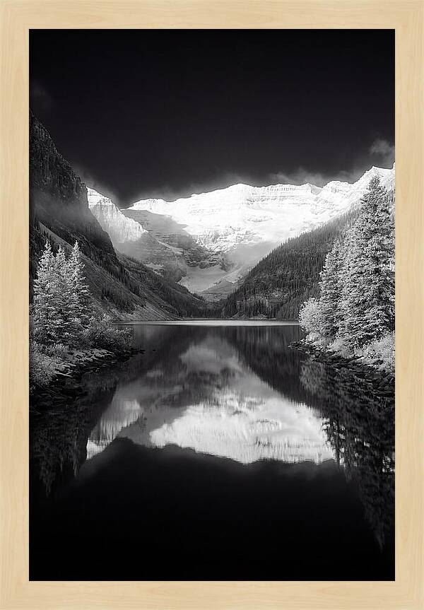 Lake Louise At Dawn