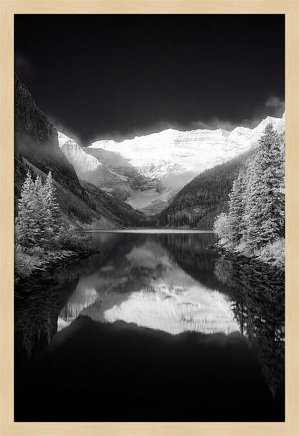 Lake Louise At Dawn