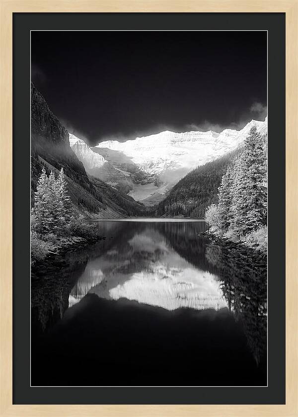 Lake Louise At Dawn