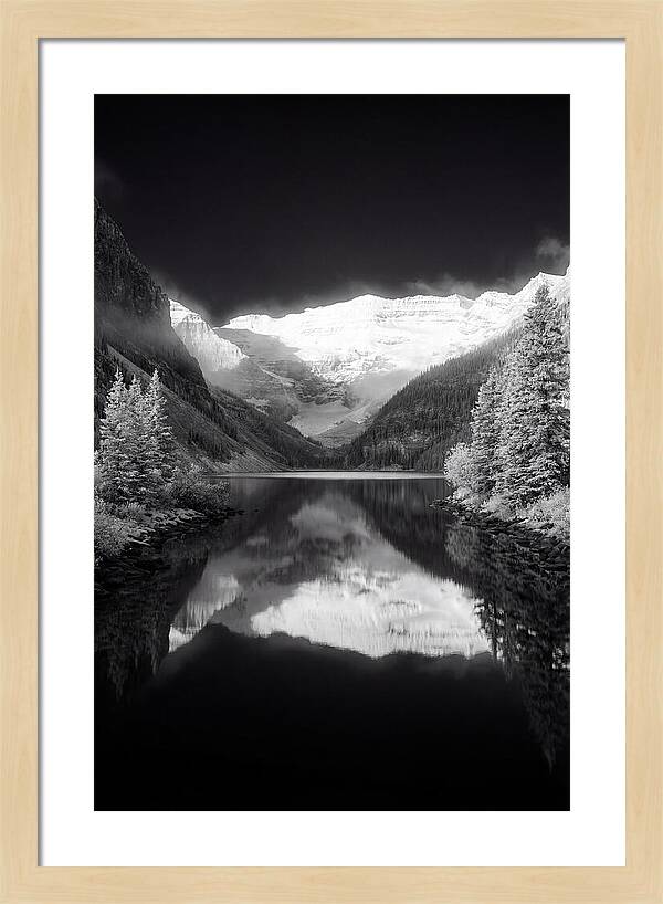 Lake Louise At Dawn
