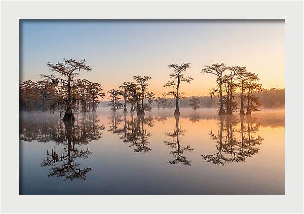 Lake Martin Serenity At Dawn