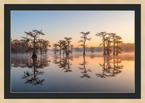 Lake Martin Serenity At Dawn