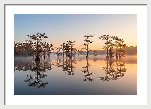Lake Martin Serenity At Dawn