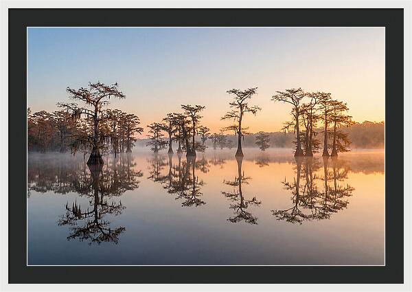 Lake Martin Serenity At Dawn