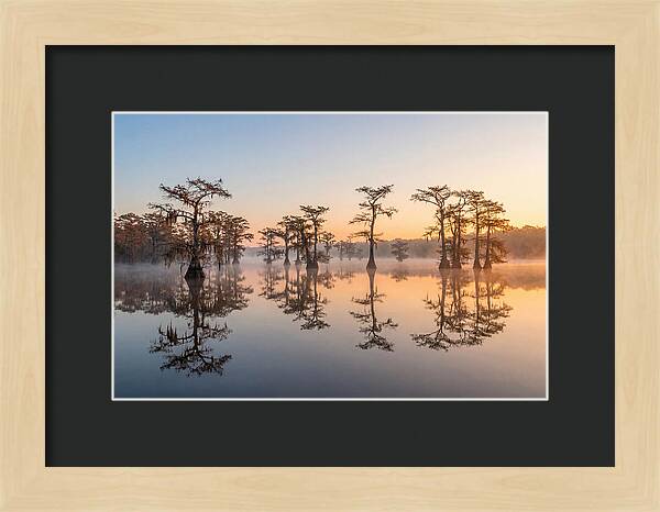 Lake Martin Serenity At Dawn