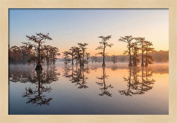 Lake Martin Serenity At Dawn