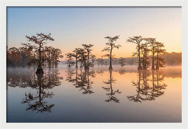Lake Martin Serenity At Dawn