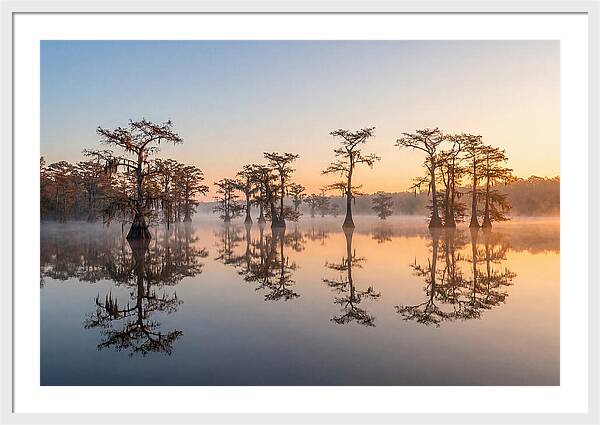 Lake Martin Serenity At Dawn