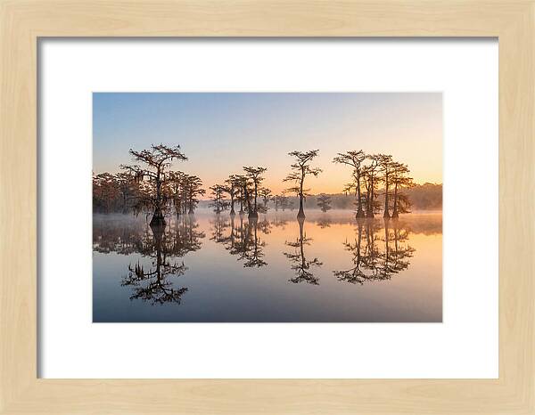 Lake Martin Serenity At Dawn