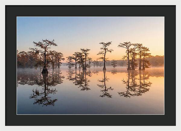 Lake Martin Serenity At Dawn