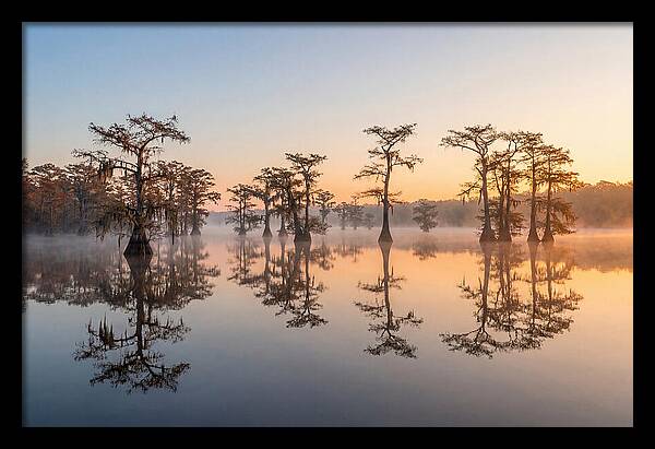 Lake Martin Serenity At Dawn