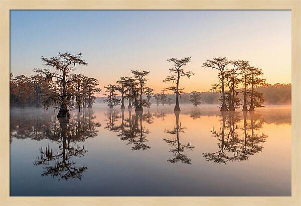 Lake Martin Serenity At Dawn