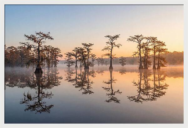 Lake Martin Serenity At Dawn