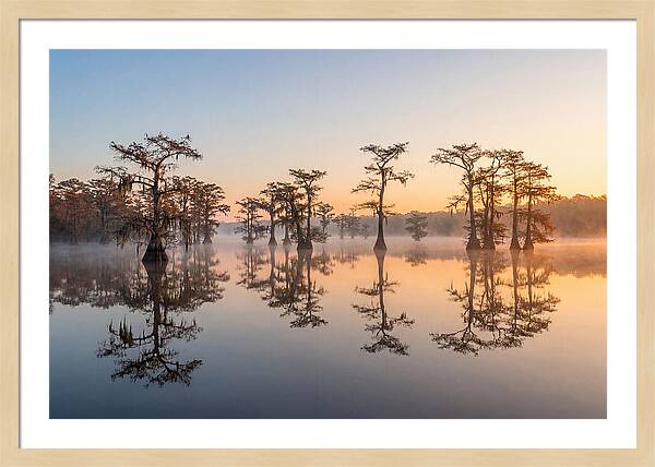 Lake Martin Serenity At Dawn