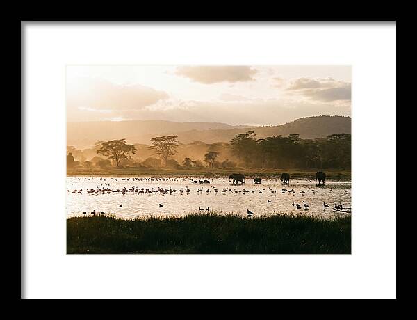 Lake Nakuru Savanna Serenity