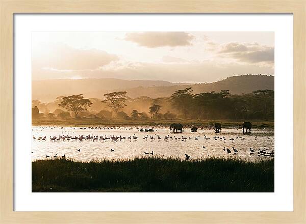Lake Nakuru Savanna Serenity