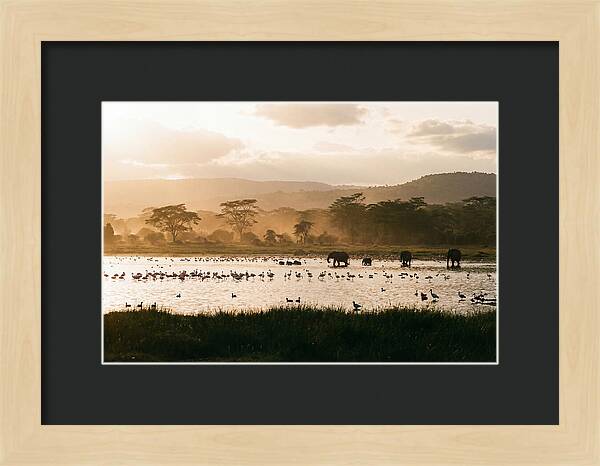 Lake Nakuru Savanna Serenity