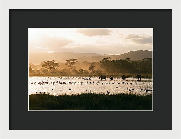 Lake Nakuru Savanna Serenity