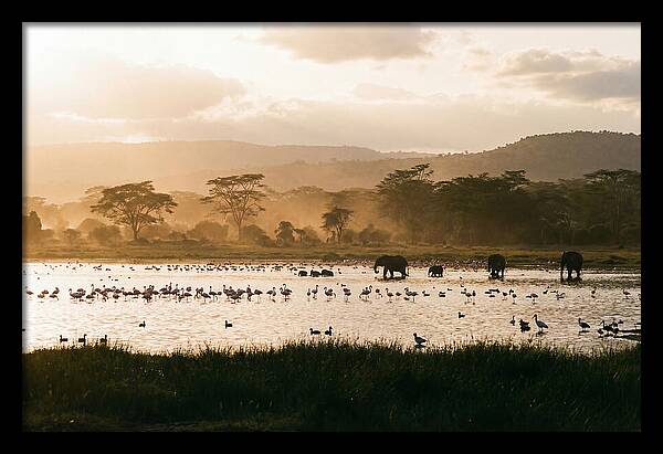 Lake Nakuru Savanna Serenity