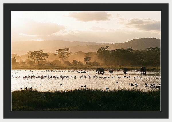 Lake Nakuru Savanna Serenity