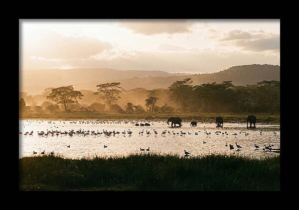 Lake Nakuru Savanna Serenity