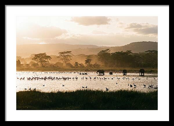 Lake Nakuru Savanna Serenity