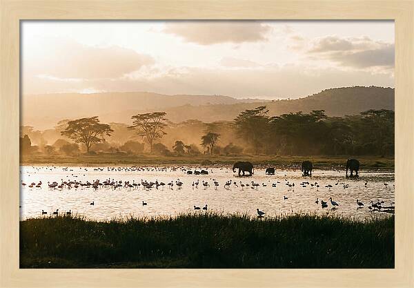 Lake Nakuru Savanna Serenity