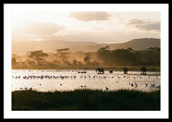 Lake Nakuru Savanna Serenity