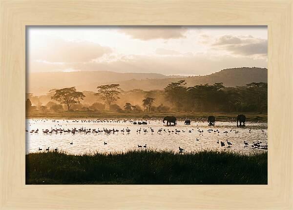 Lake Nakuru Savanna Serenity