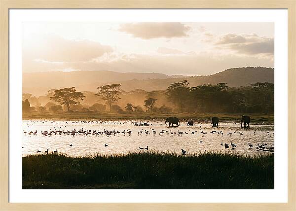 Lake Nakuru Savanna Serenity