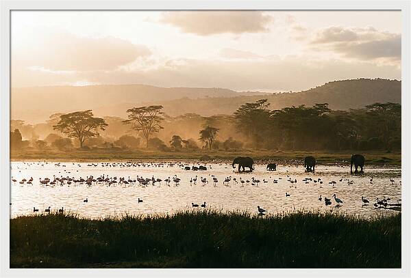 Lake Nakuru Savanna Serenity