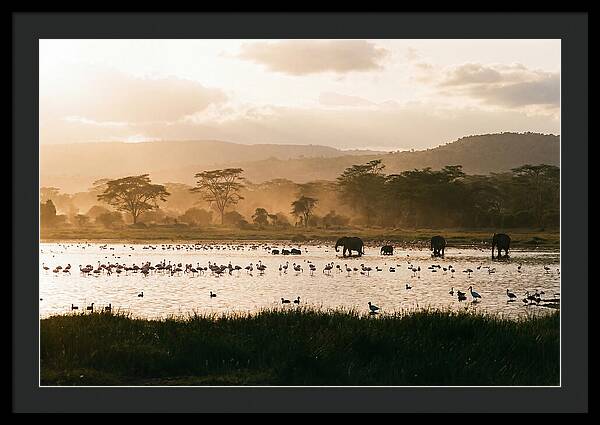 Lake Nakuru Savanna Serenity