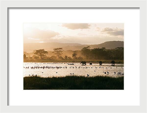 Lake Nakuru Savanna Serenity
