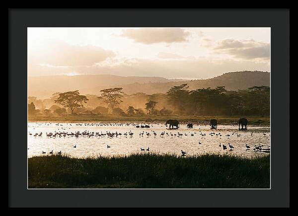 Lake Nakuru Savanna Serenity
