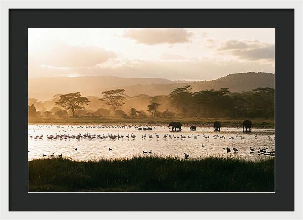 Lake Nakuru Savanna Serenity