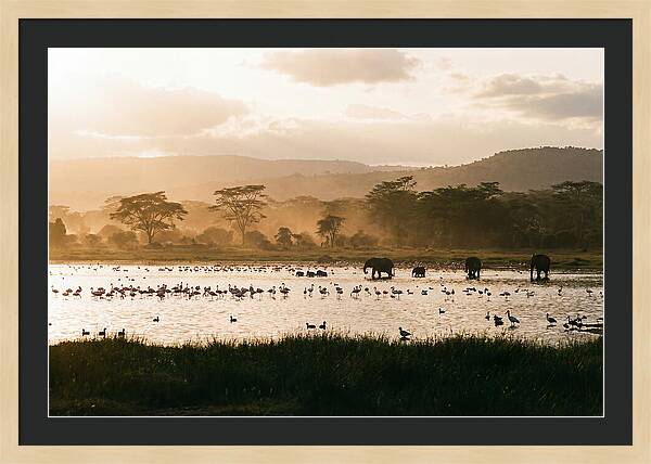Lake Nakuru Savanna Serenity