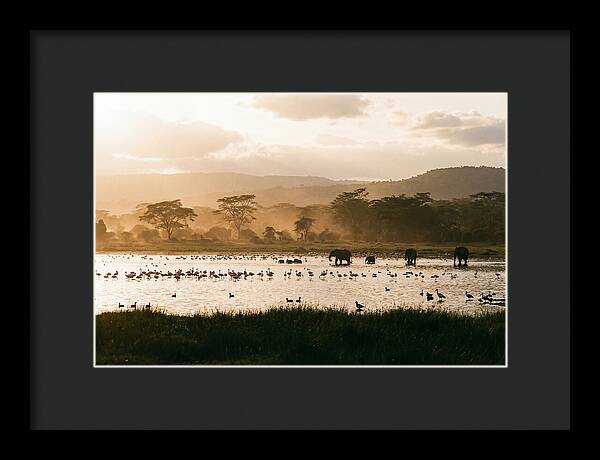 Lake Nakuru Savanna Serenity