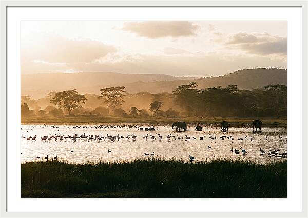Lake Nakuru Savanna Serenity