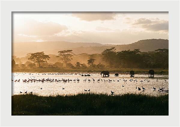Lake Nakuru Savanna Serenity